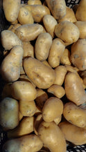 Carica l&#39;immagine nel visualizzatore di Gallery, Patate gialle di Montagna, sacchetto da 1-3-5kg
